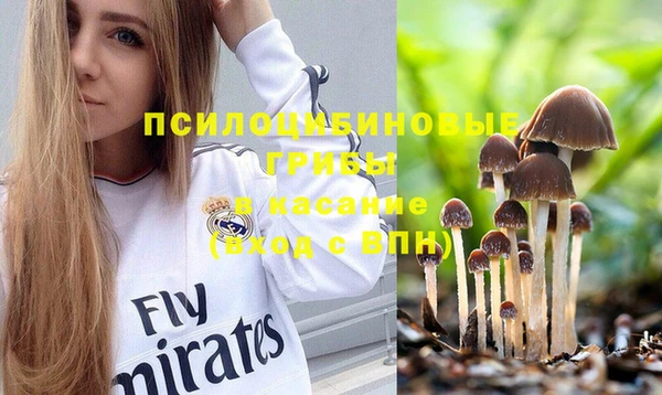 PSILOCYBIN Няндома