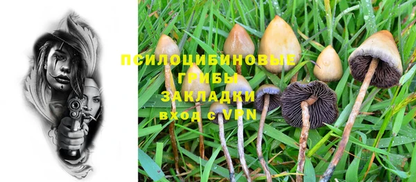 кокс Армянск