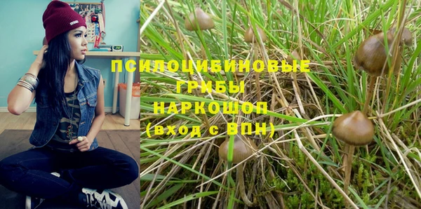 меф Арсеньев
