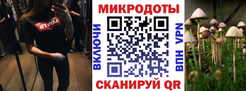 Псилоцибиновые грибы прущие грибы  Лобня 